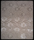 Champagne Lace, click to enlarge.