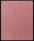 Pink Pansy, click to enlarge. Pink Pansy, click to enlarge.